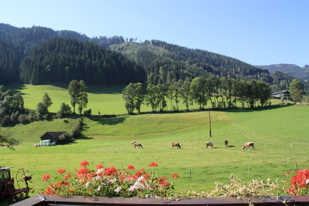 Blonbauer Villa Schladming Exterior photo